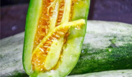 网红娱乐吃瓜,吃瓜群众的热议焦点