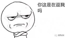 玛利亚吃瓜,玛利亚的瓜田奇遇记