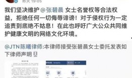 吃瓜事件爆料平台,网络爆料背后的真相与争议