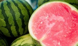 吃瓜补充水分,夏日健康生活新主张