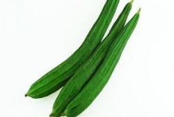 吃瓜寒凉腰酸,揭秘吃瓜寒凉背后的健康隐患