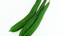 吃瓜寒凉腰酸,揭秘吃瓜寒凉背后的健康隐患