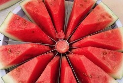 2020年吃瓜大赛,全民狂欢，瓜界风云再起