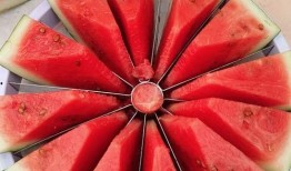 2020年吃瓜大赛,全民狂欢，瓜界风云再起