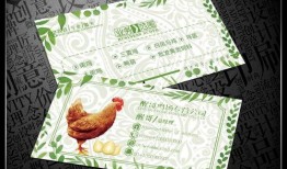 吃鸡呆瓜名片,揭秘游戏界的搞笑达人