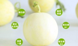 梦到田瓜地吃甜瓜,田瓜地中品甜瓜的奇幻之旅