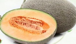 吃哈密瓜嗓子哑,小心嗓子哑声