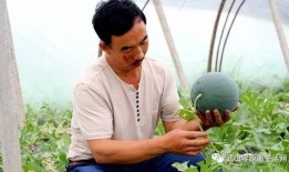 武山吃瓜视频,揭秘当地特色美食背后的故事