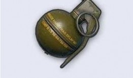 呆瓜吃手雷,一场惊心动魄的意外之旅