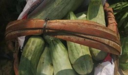 吃瓜货货,揭秘娱乐圈幕后故事