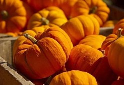 山寨食品吃瓜,吃瓜群众如何辨别真假美食