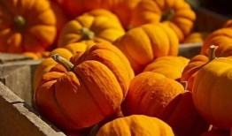 山寨食品吃瓜,吃瓜群众如何辨别真假美食