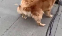 吃瓜哥俩,揭秘娱乐圈背后的那些事儿