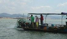 捕鱼出海吃瓜,尽享海岛悠闲时光