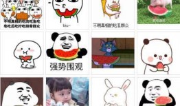 让你吃瓜吃个明白,吃瓜群众如何看明白明星们的瓜田风云