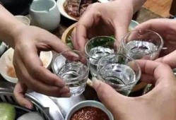 吃瓜篓子能喝酒吗,揭秘瓜果与美酒的奇妙融合