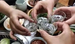 吃瓜篓子能喝酒吗,揭秘瓜果与美酒的奇妙融合