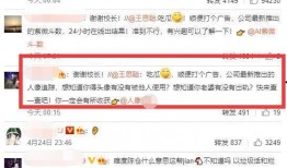 娱乐吃瓜老王小说,揭秘娱乐圈背后的秘密风云