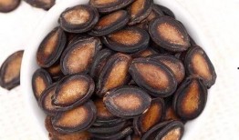 金鸽吃瓜事件,揭秘娱乐圈的“瓜田李下”