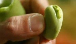 克拉赫吃瓜,一场甜蜜的误会