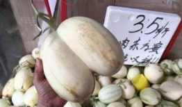 吃瓜图片童年搞笑,那些年我们一起“笑果”的日子