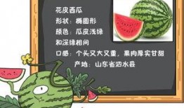 吃瓜大料小说免费阅读,揭秘娱乐圈背后的秘密