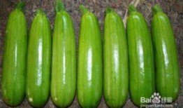 便秘吃籽瓜,轻松告别便秘困扰