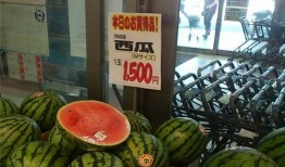 老外吃中国瓜视频,品尝地道美味，感受中华美食魅力