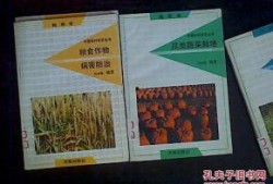 吃瓜88页书,揭秘娱乐圈背后的秘密与真相