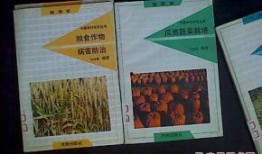 吃瓜88页书,揭秘娱乐圈背后的秘密与真相