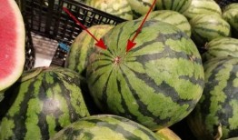 吃瓜寒凉腰酸,揭秘吃瓜寒凉背后的健康隐患