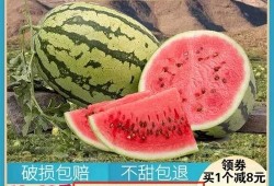 以前吃瓜,那些年我们一起吃过的瓜