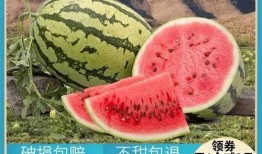 以前吃瓜,那些年我们一起吃过的瓜