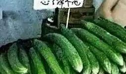 吃瓜不忘画饼人,品味人生百态，展望美好未来