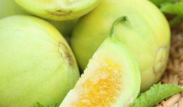 金乡孙庄吃瓜,夏日吃瓜盛宴，感受乡村田园生活