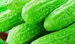 梦见自己吃凉瓜,凉瓜滋味，揭秘潜意识中的清凉体验