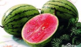 成都夏天吃瓜,成都夏天的清凉美食之旅