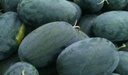 花优吃瓜,揭秘娱乐圈那些不为人知的幕后故事