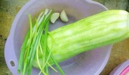 广州水瓜怎么吃,夏日清爽美食探索