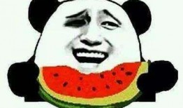 陈平安吃瓜,瓜田里的美食探索之旅