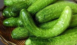 吃瓜怎么晒干吃,晒干瓜果，尽享美味与创意