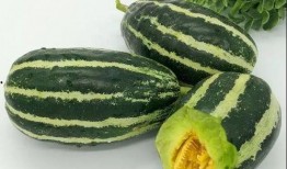 小哥吃羊角蜜瓜,甜蜜滋味尽在口中