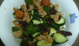 什么瓜可以拌着吃,揭秘最适合拌着吃的瓜类美食