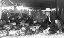 石佛寺吃瓜群众,揭秘民间热点背后的故事