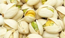 金鸽吃瓜事件,揭秘娱乐圈的“瓜田李下”