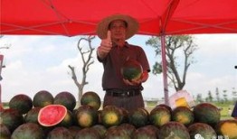 人流后吃雪梨瓜