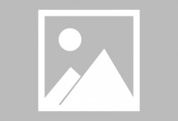 娱乐吃瓜君鸭,揭秘娱乐圈那些不为人知的幕后故事