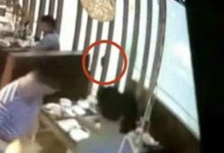 经常看吃瓜视频的人,吃瓜群众视角下的娱乐圈风云录