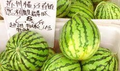 苏瓜蕊可以吃吗,美味可口的天然食材，安全食用指南