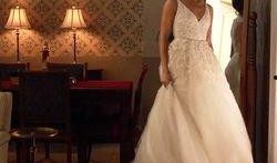 婚纱吃瓜事情,一场吃瓜群众的狂欢盛宴